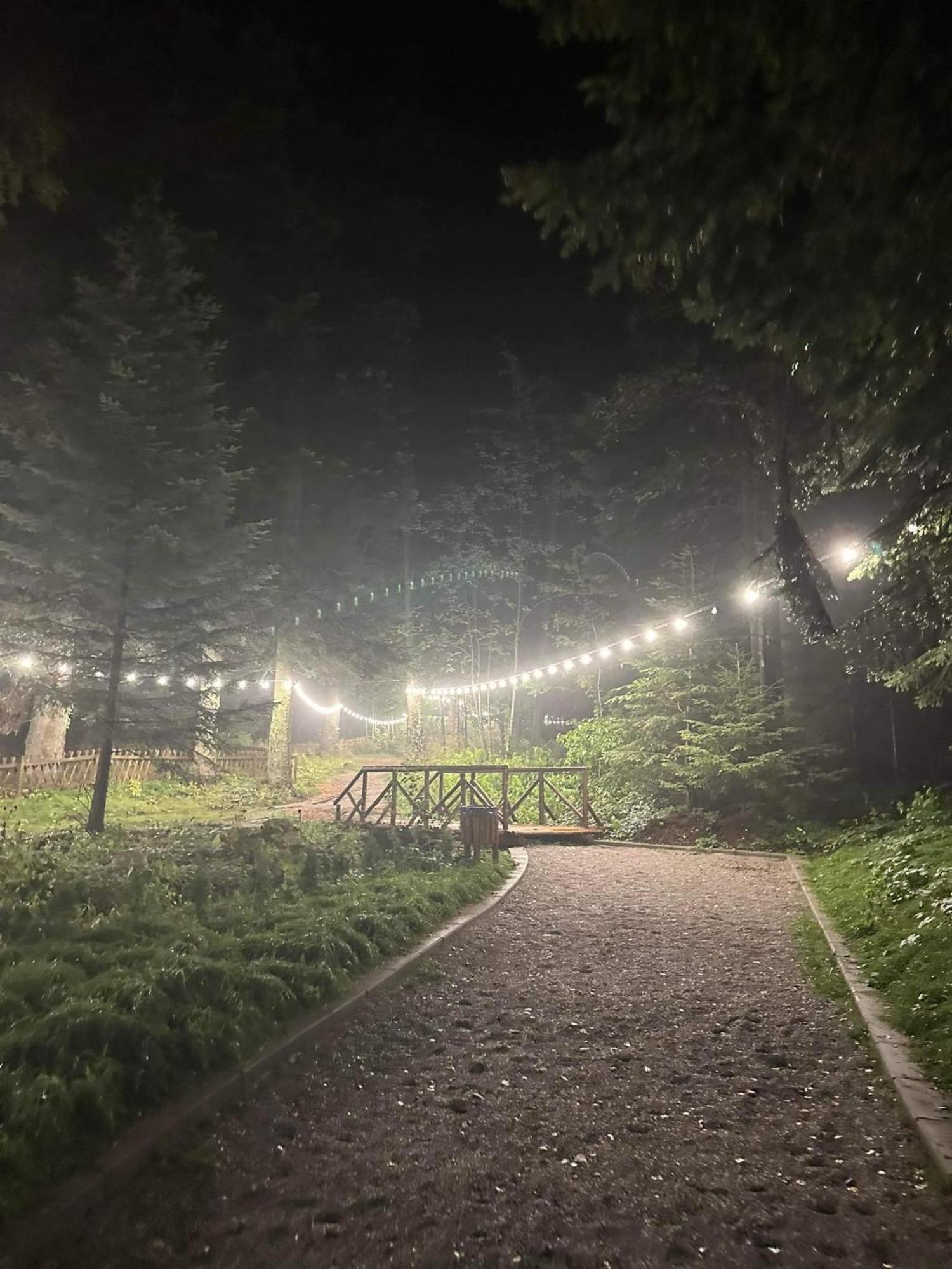Cozy Riverside Pine Studio E5 보로베츠 외부 사진